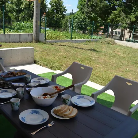 за гости мартинови * Zlatograd