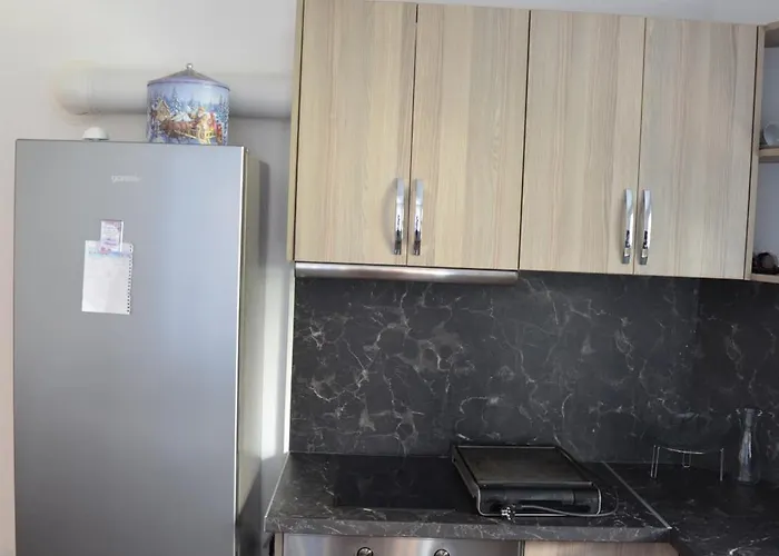 別荘 за гости мартинови ズラトグラッド